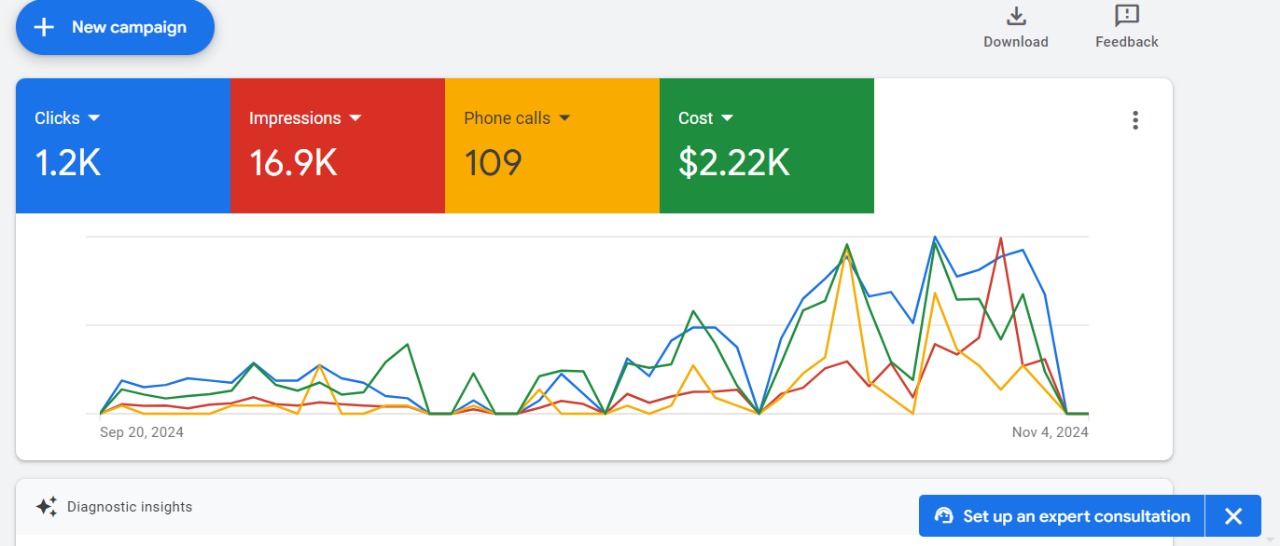 Google Ads: 16.9K impressions, 109 calls