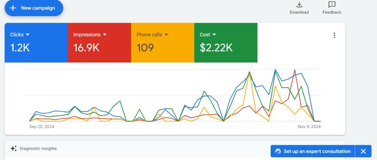 Google Ads account overview for 20 September to 4 November 2024 showing 1.2K clicks, 16.9K impressions, 109 phone calls and $2.22K cost